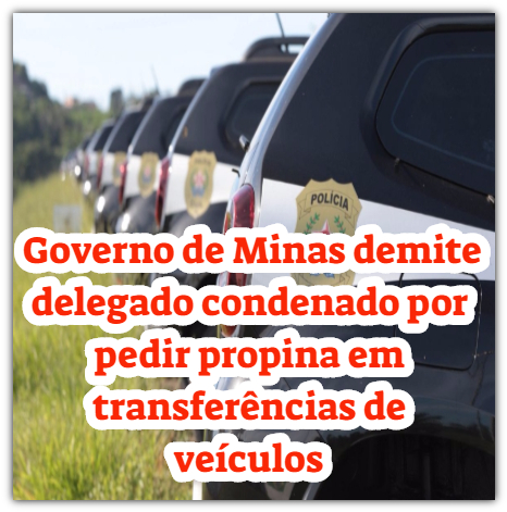 NOTÍCIAS