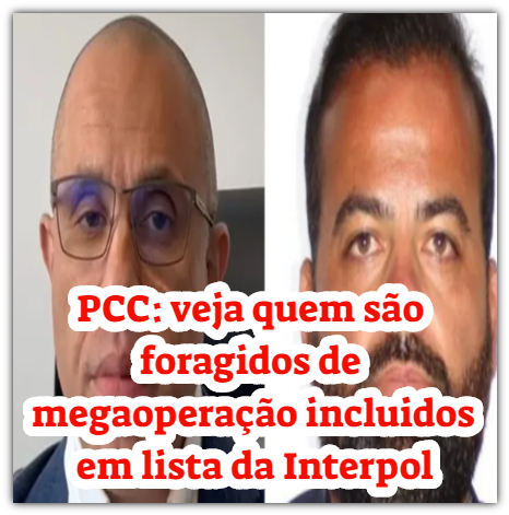 NOTÍCIAS